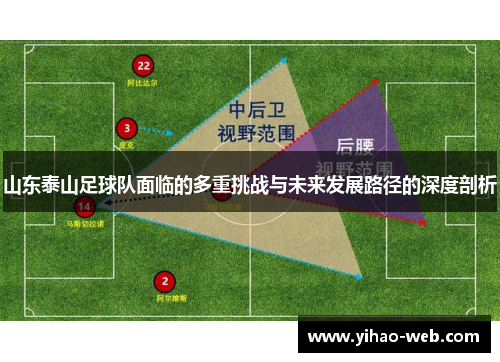 山东泰山足球队面临的多重挑战与未来发展路径的深度剖析