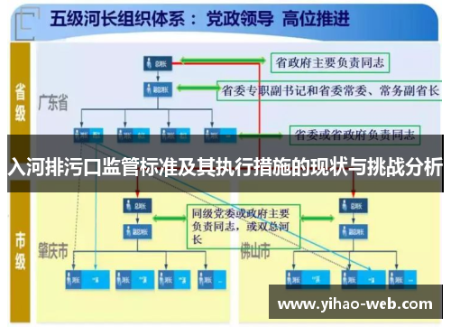 入河排污口监管标准及其执行措施的现状与挑战分析