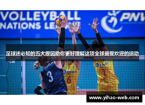 足球迷必知的五大原因助你更好理解这项全球最受欢迎的运动
