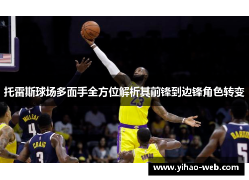托雷斯球场多面手全方位解析其前锋到边锋角色转变